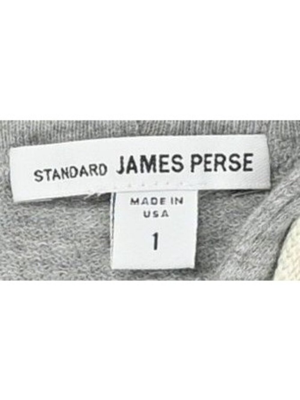 James Perse Standard Fleece Drawstring Hoodie in Grey - Picture 2 of 3